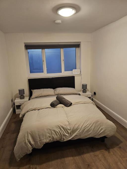 Beautiful Garden Flat Near Central لندن المظهر الخارجي الصورة