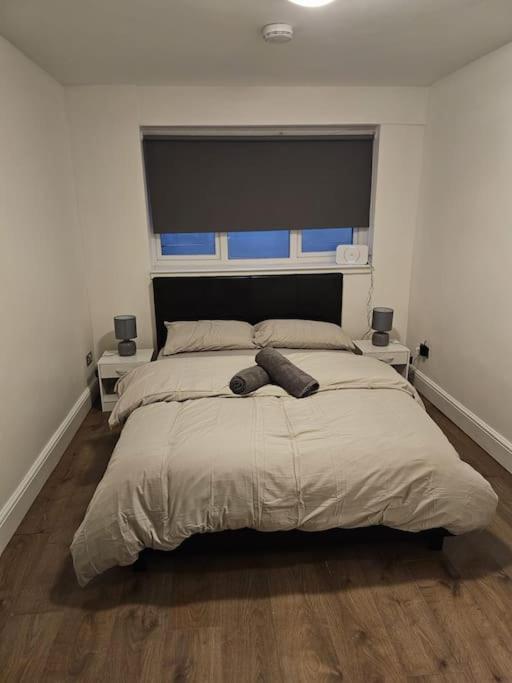 Beautiful Garden Flat Near Central لندن المظهر الخارجي الصورة