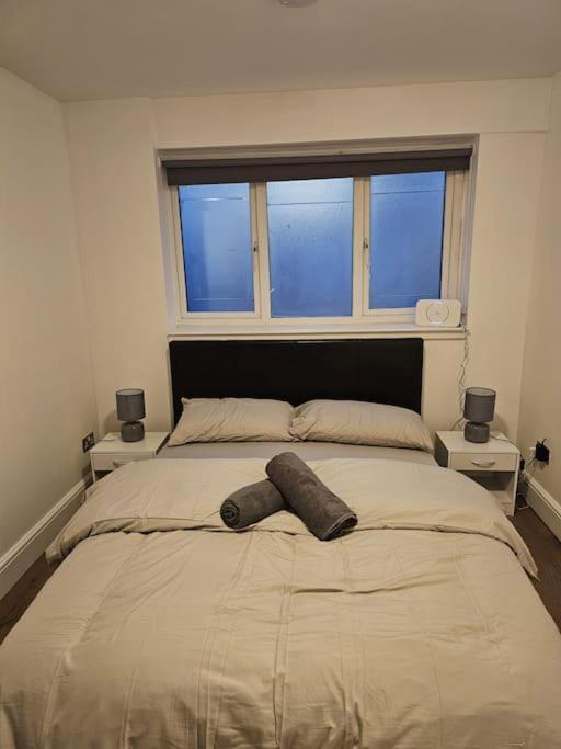 Beautiful Garden Flat Near Central لندن المظهر الخارجي الصورة