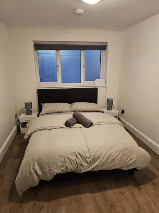 Beautiful Garden Flat Near Central لندن المظهر الخارجي الصورة